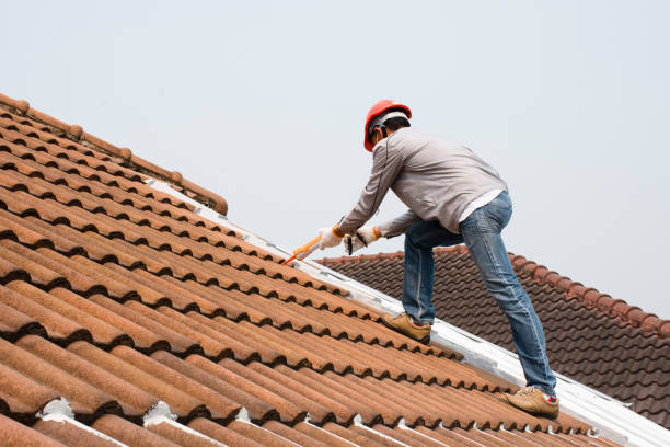 Steel Roofing in Toluca, IL